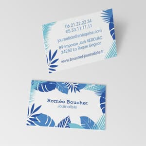 100 Cartes de visite express